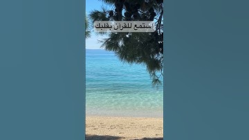تلاوة حجازية بديعة للشيخ بدر التركي #المصحف #video #اكسبلور #viralvideo #quran #ترند #تلاوة_خاشعة