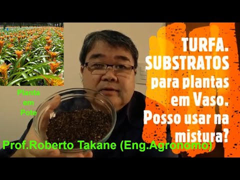 Vídeo: O que posso usar no lugar do musgo de turfa?