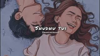 শুধু তুই। Shudhu Tui । Slowed and Reverb। Bengali lofi song । music blog