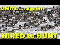 Limits Again!! ... Claudio Ongaro's Hired to Hunt Season 6: Limits of Ducks & Geese at Ongaro's