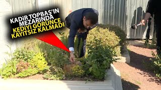 Ekrem İmamoğlu, Kadir Topbaş'ın mezarındaki kediyi görünce kayıtsız kalmadı!