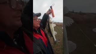 РЫБАЛКА на СПИННИНГ осенью