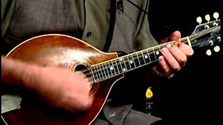 Divin' Duck Blues Steve James & John Sebastian chords