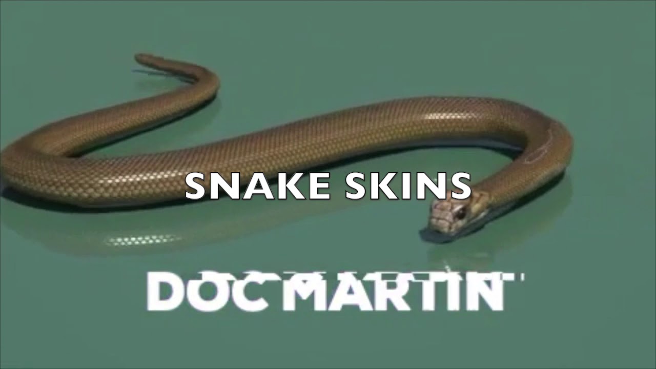 SNAKE SKINS YouTube