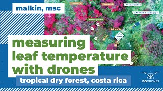 Isodrones | Measuring leaf temperature with drones in the tropical dry forest
