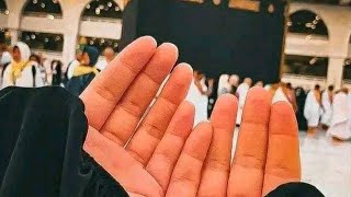 mulana Tariq Jameel Saab ya rabe umti umti #translationquranandislam