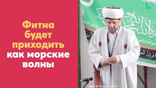 Фитна будет приходить как морские волны