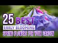 Gambar cover 25 Best Early Blooming Spring Flowers For Your Garden