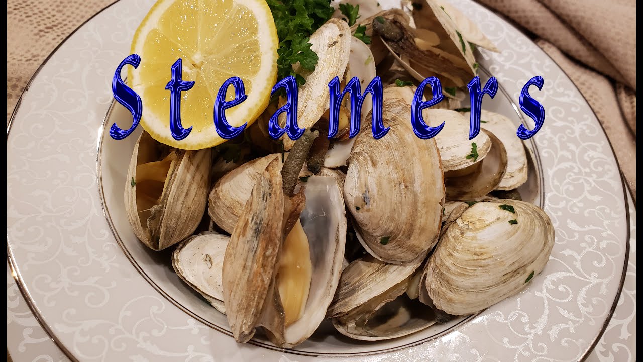 Steamer Clams in Lemony White Wine Cream Sauce — All Types Of Bowls