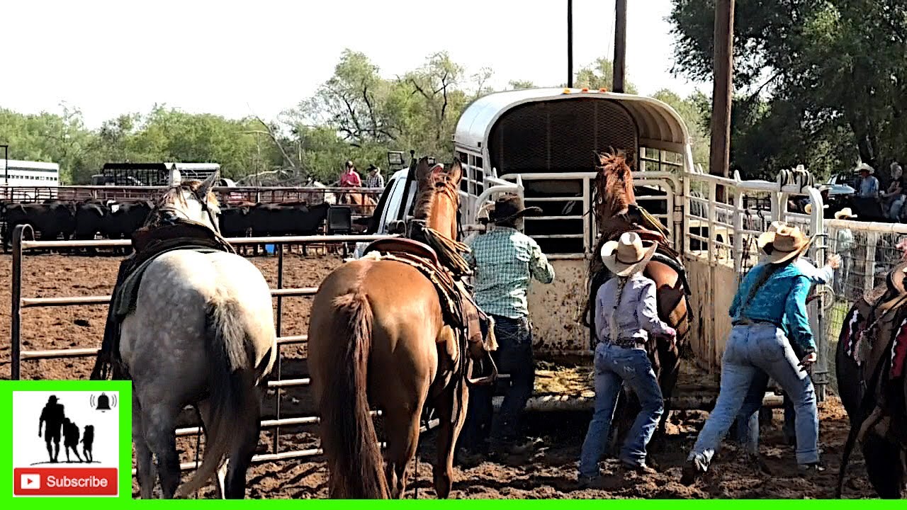 Trailer Loading 2020 WRRA Roaring Springs Rodeo 1st Go YouTube