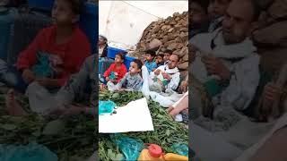 جانب من المقيل علي نغمات الأستاذ حسن محسن