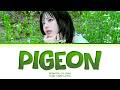 SEONYOU (CLASSy) Pigeon Lyrics (Color Coded Lyrics)