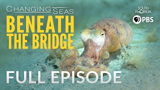 Beneath The Bridge - Full Episode