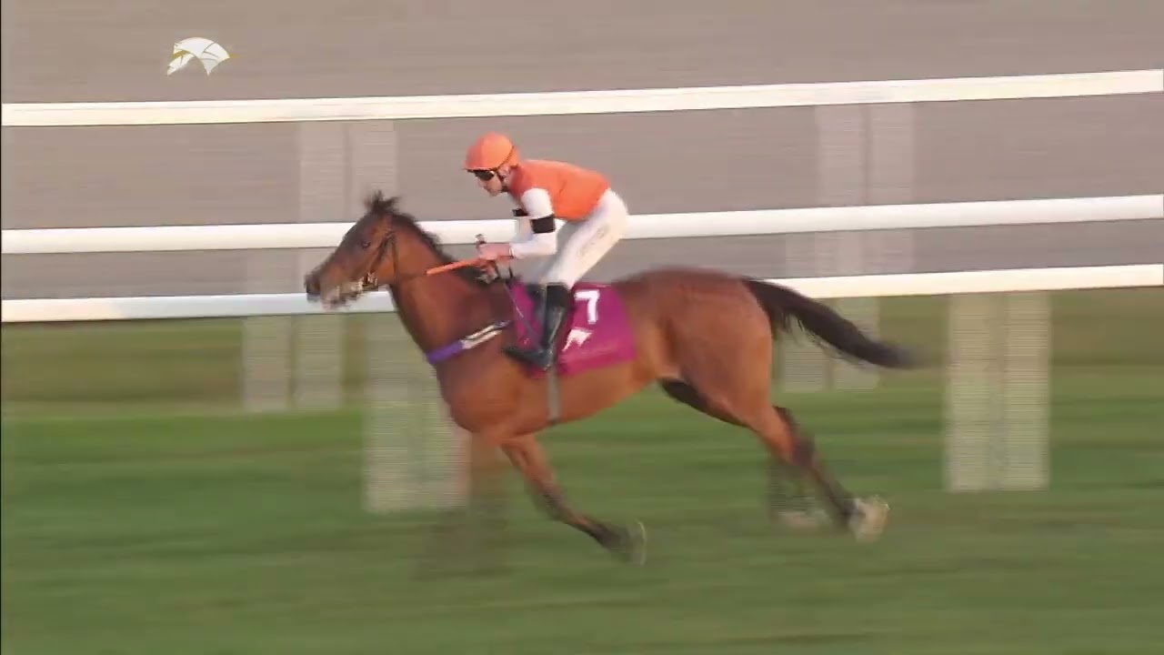 Kerindia (IRE) by Cotai Glory (GB) SAWDA NATHEEL STAKES -  (Class 2) 1200 m