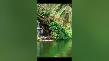 🌙تلاوة من صلاة العشاء |سورة الأنبياء|🌙