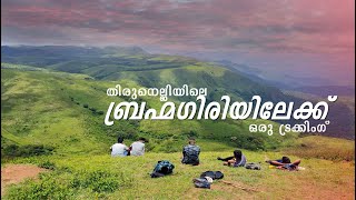 ബ്രഹ്മഗിരി മലമുകളില്‍ | Brahmagiri Peak Trekking | Thirunelli | കറക്ക് കമ്പനി | KARAKKU COMPANY