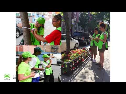 Mapping Every Street Tree in New York City: Summit on Data-Smart Government Lightning Talk