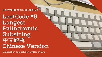 LeetCode 5. Longest Palindromic Substring 中文解释 Chinese Version