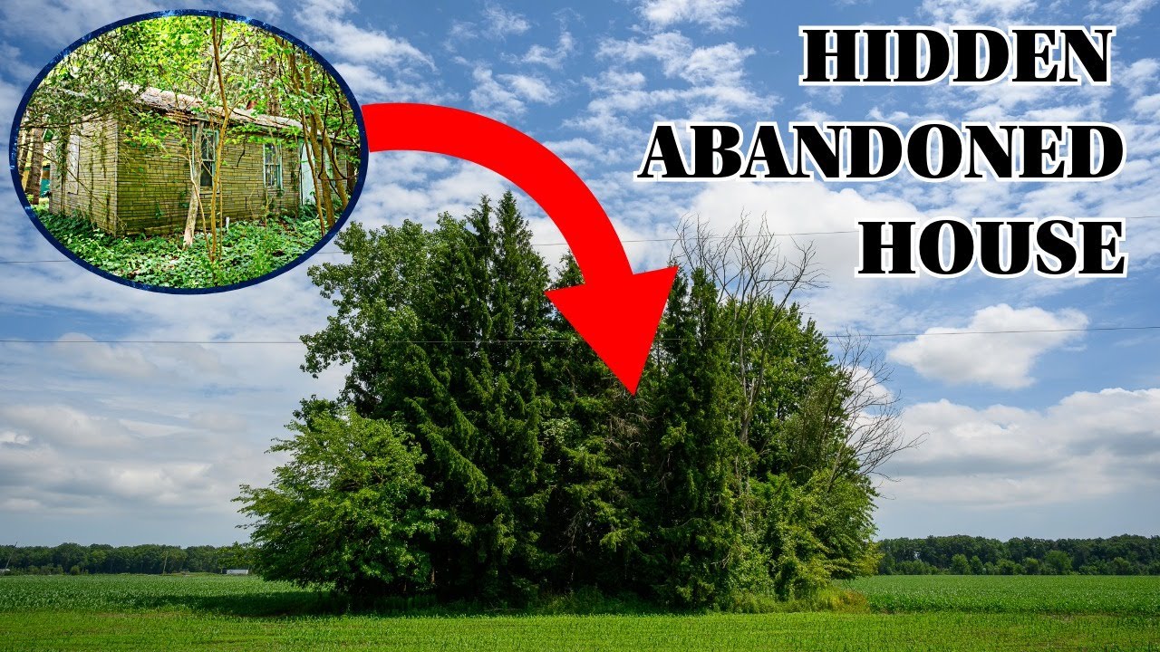 Hidden for Decades: Abandoned House Completely Concealed in a Cornfield