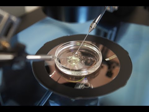 Vídeo: NHS incitado a melhorar a oferta de fertilização in vitro