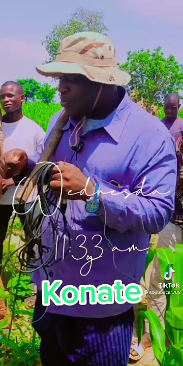 Faida kene de Mamadou Konate haidara junior