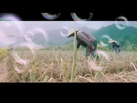 أجمل ماسمعت يارسولي ياشفيعي يامحمد 