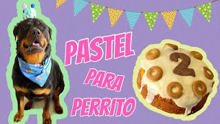 Pastel para perritos | Fiorella cake #dogcake