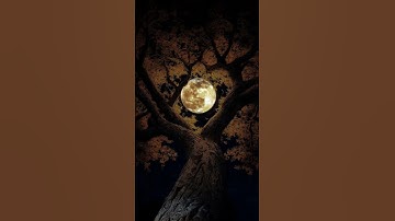 #راحة_نفسية #ارح_قلبك #محمد_اللحيدان #القارئ #اكسبلور #القزابري #ترند #المصحف #القران