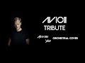 Tribute to avicii levels orchestral cover 