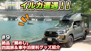 【車中泊旅09】イルカに遭遇！！絶品「鯛めし」を堪能できる四国旅＆車中泊便利グッズ紹介【#ウキブラ旅】#キャンピングカー #キャンピングカー
