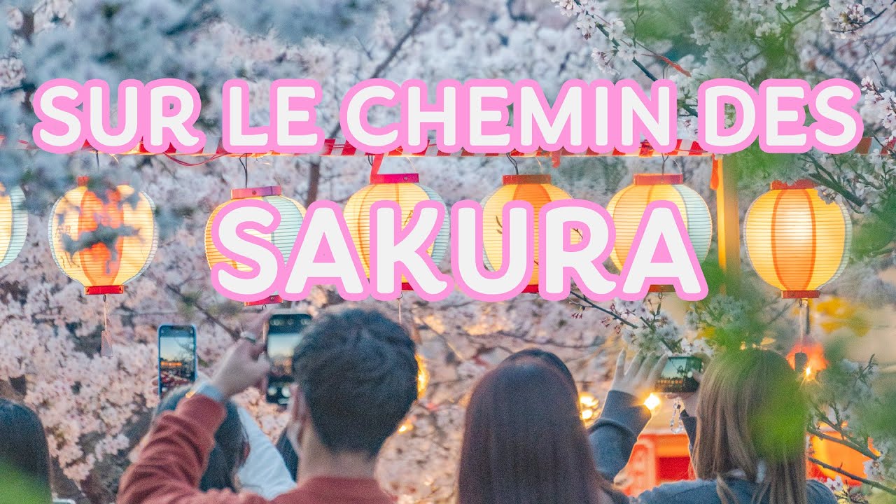 Japon, sur le chemin des Sakura [Découverte documentaire JAPON]