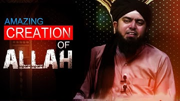 [ English ] Amazing Creation of Allah - Engineer Muhammad Ali Mirza.
