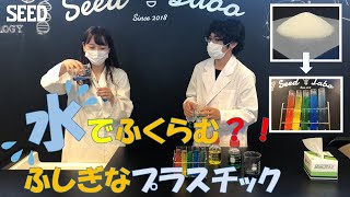 【理科実験②】水でふくらむ？！不思議なプラスチック【コンタクトレンズのシード/公式】