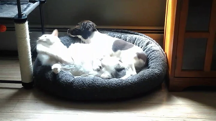Walter and Maggie
