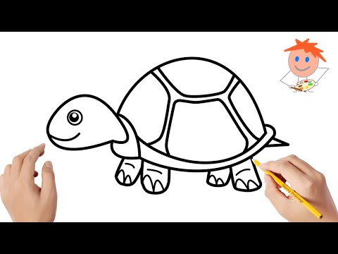 How to draw a turtle | Easy drawings