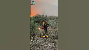 رجال الإطفاء ي شعلون النار لمكافحة الحرائق 