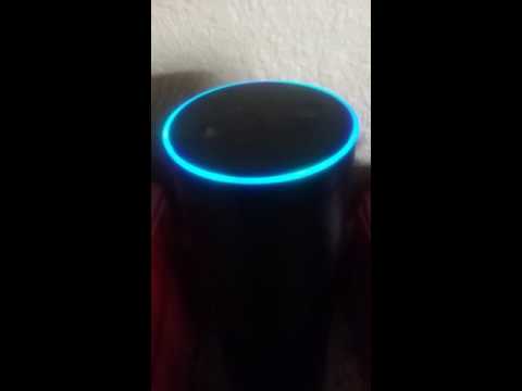 Video: Das Echo-Gadget Von Amazon Hat Ein Mass Effect-Osterei