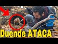 Duende real ATACA a este hombre NUNCA GRABES su casa