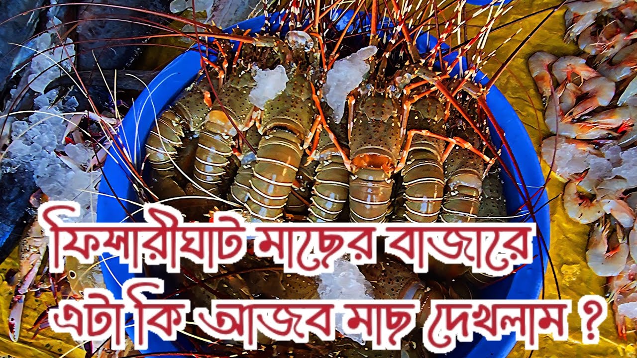 মাছের বাজার ফিসারীঘাট কক্সবাজার।  ফিসারীঘাট কক্সবাজার। Fish market fisharighat coxbazar.