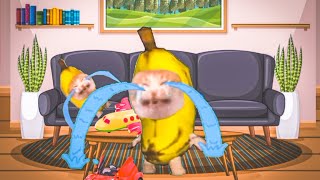 Banana Cat struggles with baby banana 😂| Happy and Banana cat series | #bananacat #funnycats