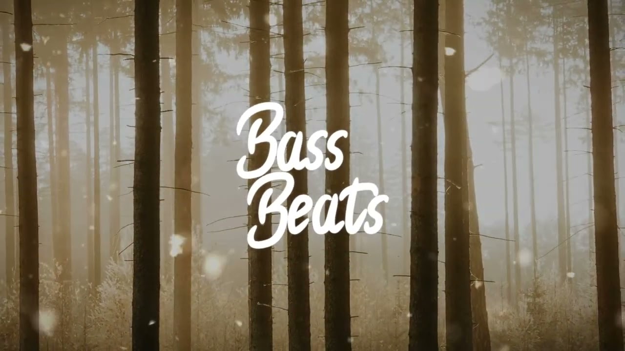 Arcando x Micah Martin - When I'm Gone [Bass Boosted]