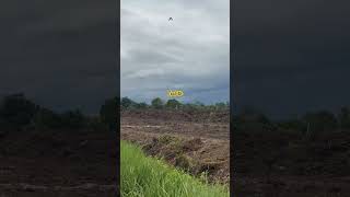 Kabuuttt asap #vod #petanimuda #excavator #xcavator