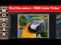 Find your colors - Free Color picker Pixlr