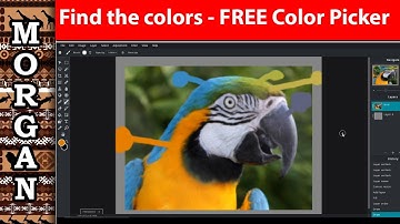 Find your colors - Free Color picker Pixlr