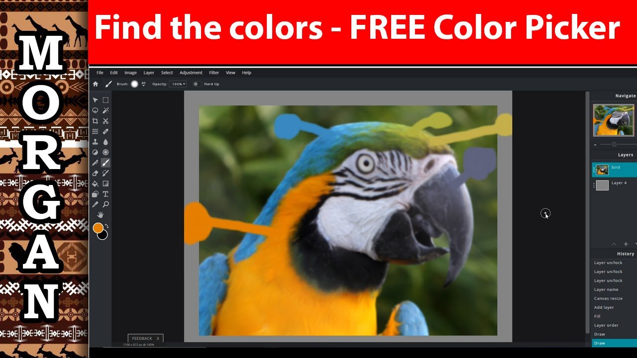 photo color picker