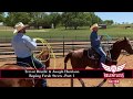 Trevor Brazile and Joseph Harrison Roping Fresh Cattle - Part 1