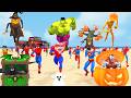 Spider Man Gameplay Halloween Festival Hide and Seek Spider Man Gameplay Halloween Festival Hide and Seek
