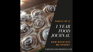How We Fed Our Family Of 9 For $5,803.16 1 Year Food Journal