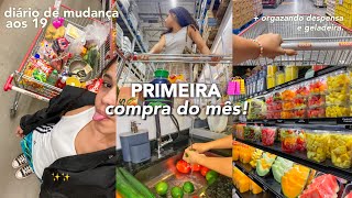 DIÁRIO DE MUDANÇA #6 | primeira compra do mês! + organizando geladeira e despensa 🛍️