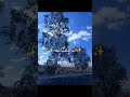 في قلبي مسكن انتي فيه بدون موسيقى 